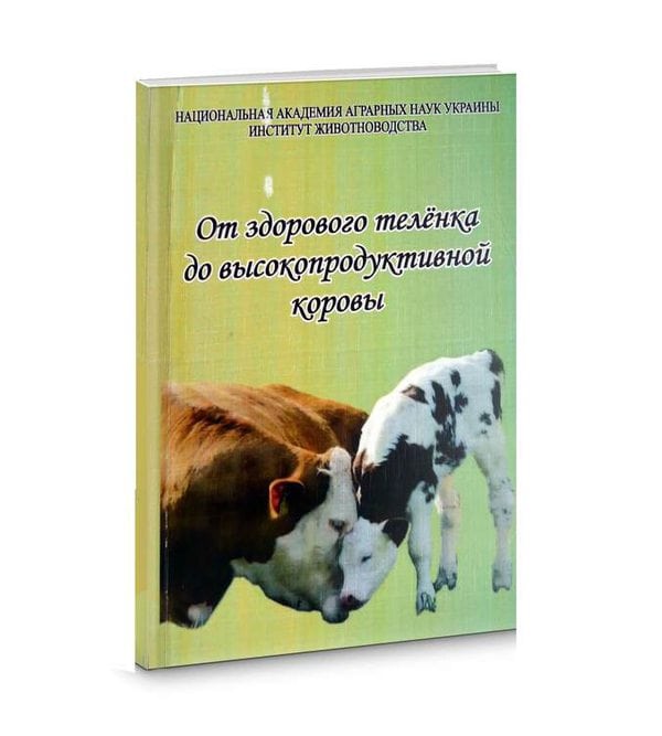 От здорового теленка до высокопродуктивной коровы