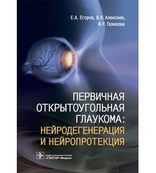 Первичная открытоугольная глаукома: нейродегенерация и нейропротекция 