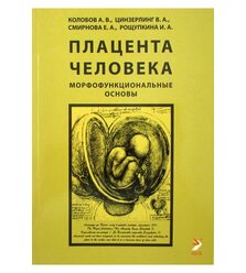 Плацента человека. Морфофункциональные основы