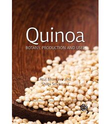 Quinoa