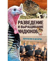 Разведение и выращивание индюков, перепелок и цесарок
