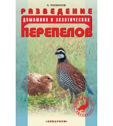 Разведение домашних и экзотических перепелов