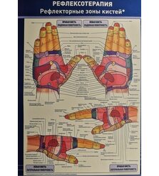 Рефлексотерапия. Рефлекторные зоны кистей. Плакат А4