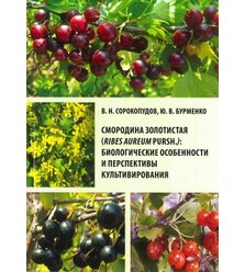 Смородина золотистая