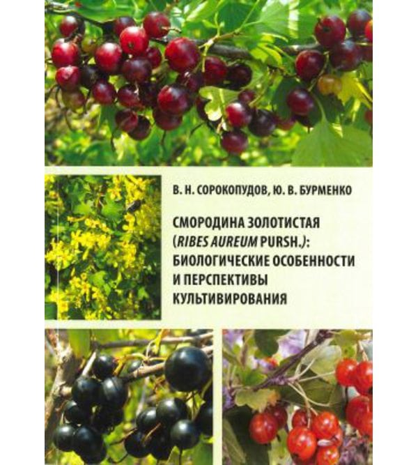 Смородина золотистая