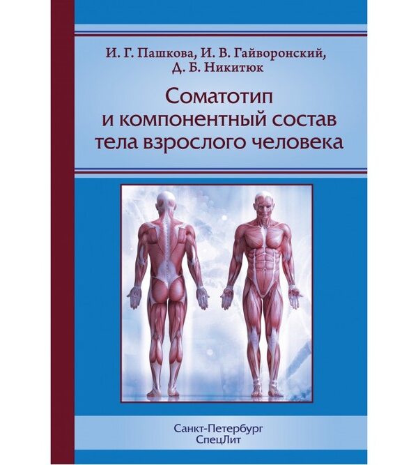 Соматотип и компонентный состав тела взрослого человека
