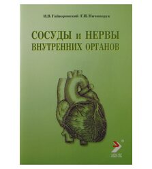 Сосуды и нервы внутренних органов