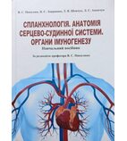 Спланхнологія. Анатомія серцево-судинної системи. Органи імуногенезу