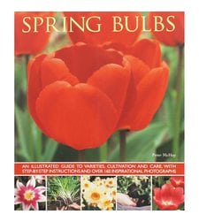 Spring Bulbs