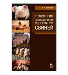 Технология разведения и содержания свиней