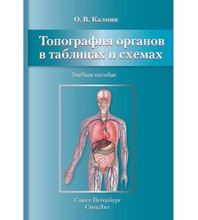 Топография органов в таблицах и схемах