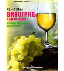 40-100 кг. винограда с одного куста в северных и центральных областях Украи..
