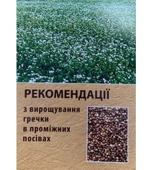 Рекомендації з вирощування гречки в проміжних посівах